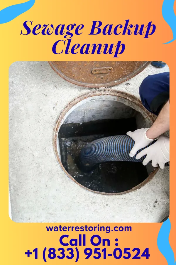 Sewage Backup Cleanup in Niotaze, KS